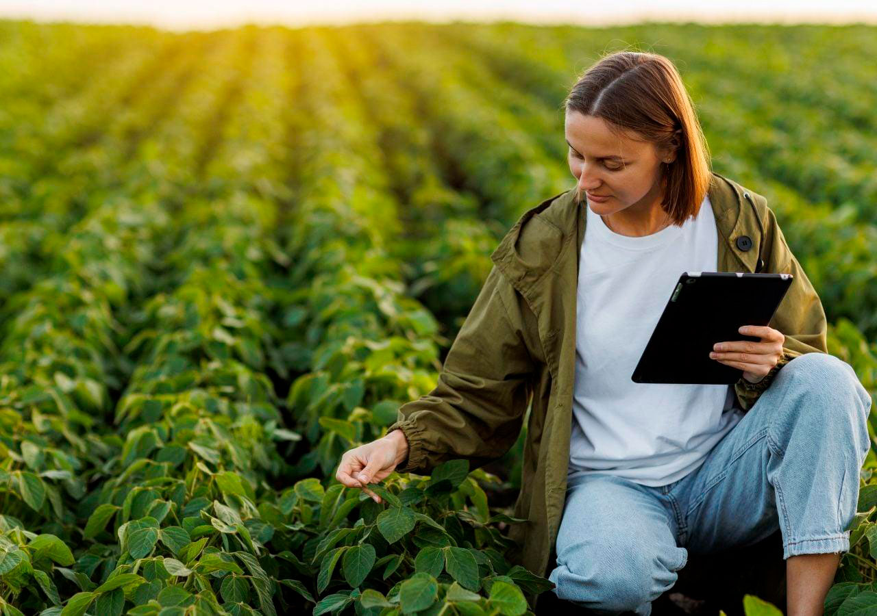 Profesional del agro con una tablet en un cultivo